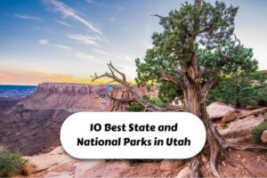 10 Best State and National Parks in Utah