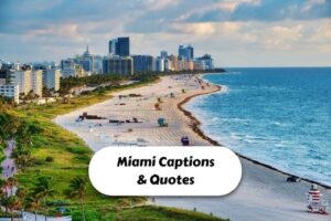 Miami Captions & Quotes