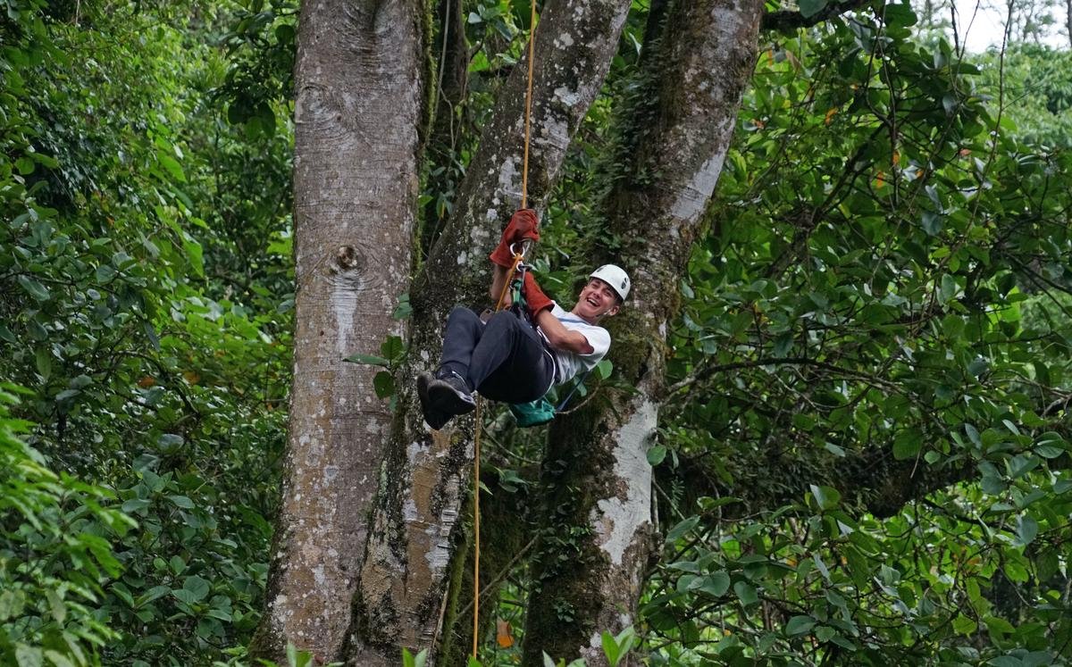 A person zip-lining through the lush rainforest in Costa Rica, surrounded by greenery and wildlife.